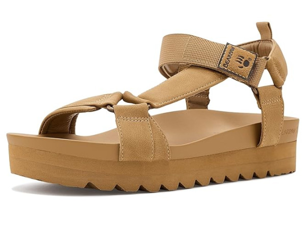 Bearpaw Hydra