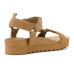 Bearpaw Hydra