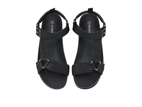 Bearpaw Hydra