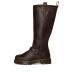 Dr. Martens Anistone Knee High Boots