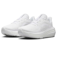 Nike Air Winflo 12