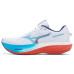 Mizuno Wave Rider 30