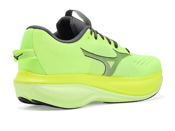 Mizuno Wave Rider 30