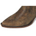 Steve Madden Albany