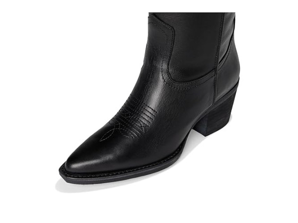 Steve Madden Albany