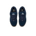 Emerica Accel