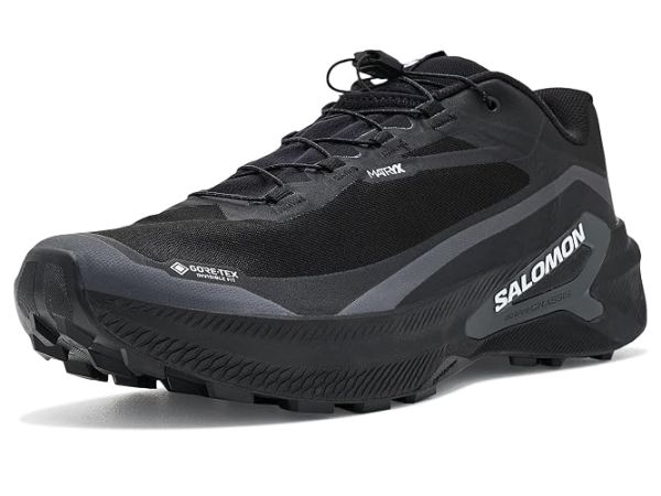 Salomon Genesis 2 Gtx