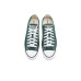 Converse Chuck Taylor All Star Canvas Low Top Sneakers