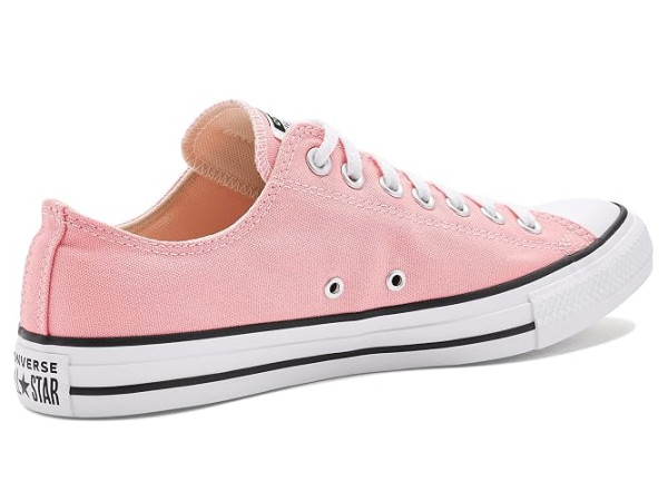 Converse Chuck Taylor All Star Canvas Low Top Sneakers