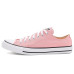 Converse Chuck Taylor All Star Canvas Low Top Sneakers