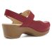 Dansko Shantell Clogs