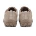 Teva NeoGamma LTR