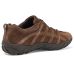 Teva NeoGamma LTR