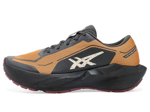 ASICS Novablast 6 GTX ASICS Novablast 6 GTX