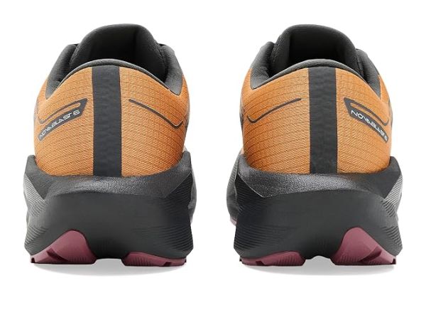 ASICS Novablast 6 GTX ASICS Novablast 6 GTX