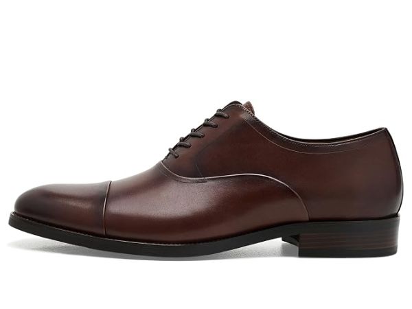 Steve Madden Hallifax Steve Madden Hallifax
