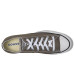 Converse Chuck Taylor All Star Low Top Sneaker