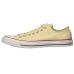 Converse Chuck Taylor All Star Low Top Sneaker