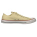 Converse Chuck Taylor All Star Low Top Sneaker