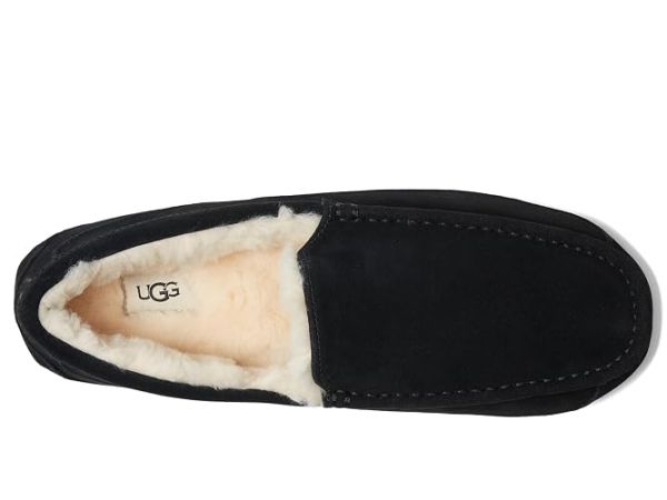 UGG Ascot