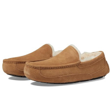 UGG Ascot
