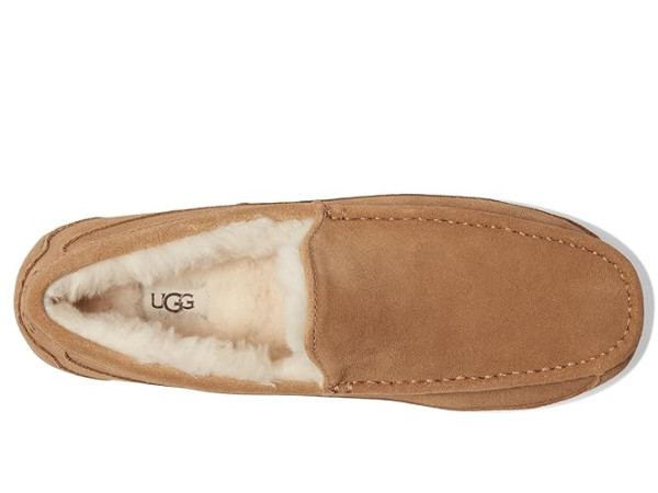 UGG Ascot