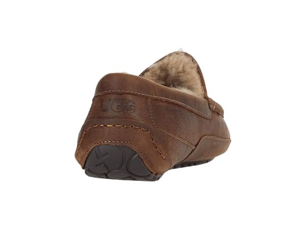 UGG Ascot