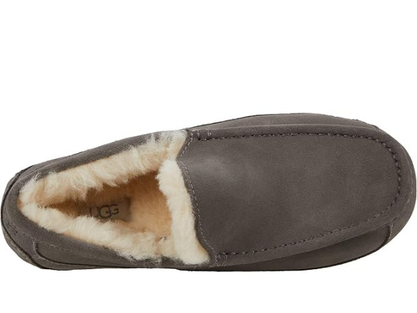 UGG Ascot