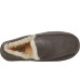 UGG Ascot