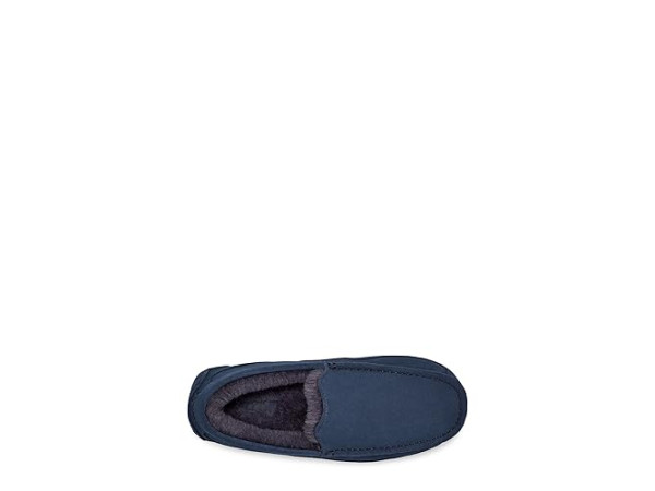 UGG Ascot