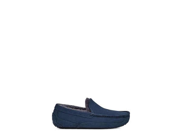 UGG Ascot