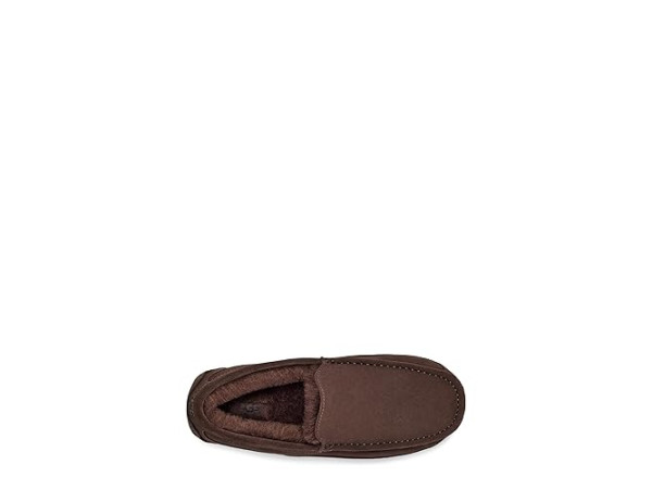 UGG Ascot UGG Ascot