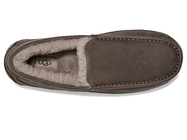 UGG Ascot