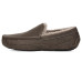 UGG Ascot