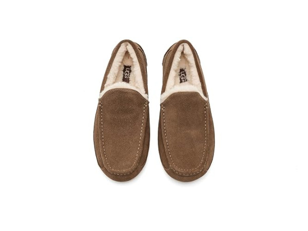 UGG Ascot