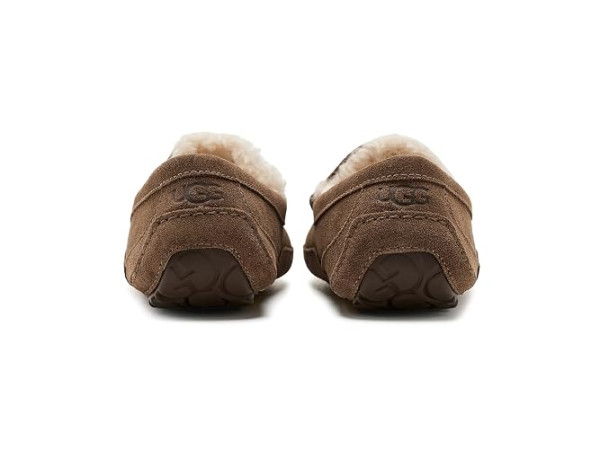 UGG Ascot