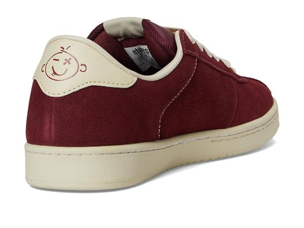 etnies Scam