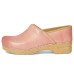 Dansko Professional Dansko Professional