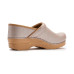 Dansko Professional