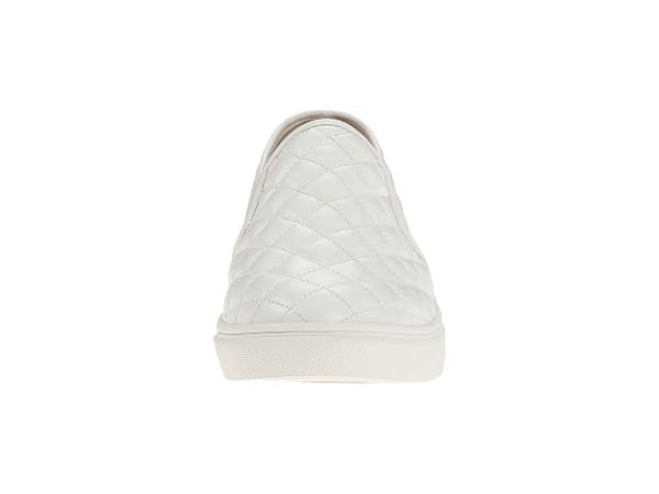 Steve Madden Ecentrcq Sneaker