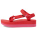 Teva Flatform Universal Teva Flatform Universal