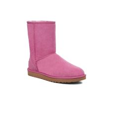 Purple Ruby UGG Classic Short II