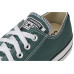 Converse Chuck Taylor All Star Low-Top Sneaker