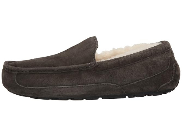 UGG Ascot - WIDE