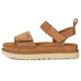 UGG Goldenstar
