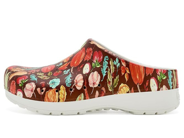 Dansko Kane Clog