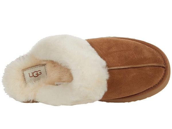 UGG Disquette