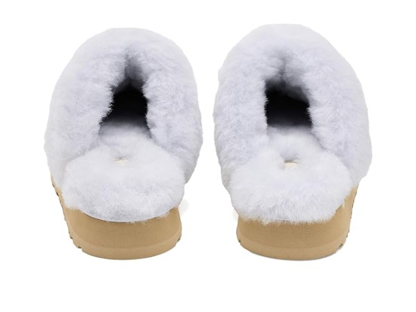 UGG Disquette