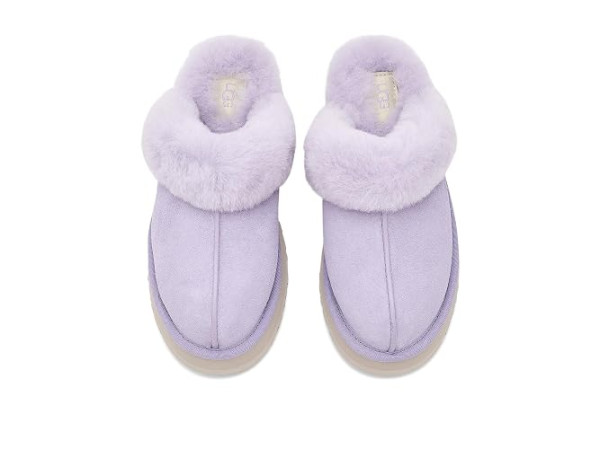 UGG Disquette