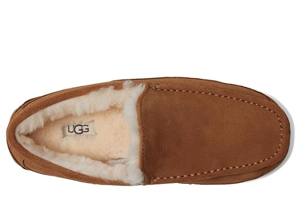 UGG Wide Ascot